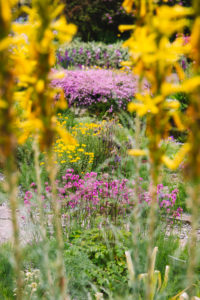 Variety of flowers in the botanical garden in Bielefeld in May Variety of flowers in the botanical garden in Bielefeld in May